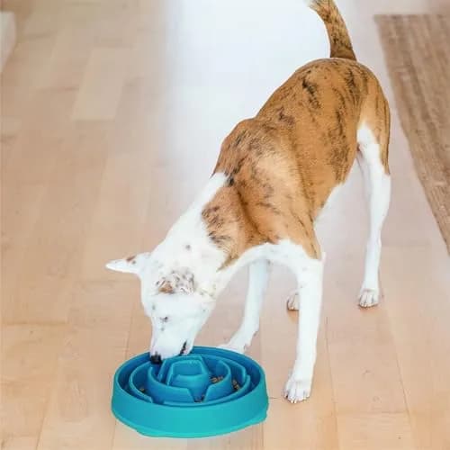 Outward Hound Fun Feeder Slo Bowl Large 4-Cup Capacity Turquoise | Slow Feeding Dog Bowl for Medium to Large Dogs thumbnail 6
