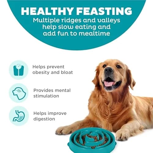 Outward Hound Fun Feeder Slo Bowl Large 4-Cup Capacity Turquoise | Slow Feeding Dog Bowl for Medium to Large Dogs thumbnail 2