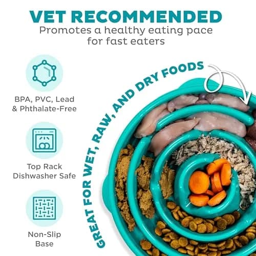 Outward Hound Fun Feeder Slo Bowl Large 4-Cup Capacity Turquoise | Slow Feeding Dog Bowl for Medium to Large Dogs thumbnail 3