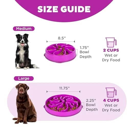 Outward Hound Fun Feeder Slo Bowl Large 4-Cup Capacity Purple Flower Pattern | Slow Feeder Dog Bowl for Fast Eaters thumbnail 5