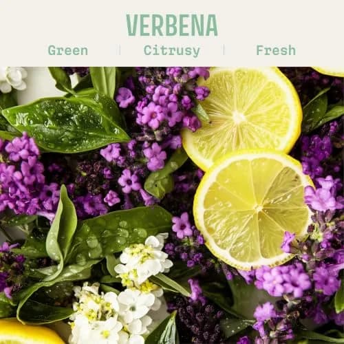 Panier des Sens Lemon Verbena Hand Cream 29.57ml (1 fl oz) | Energizing Citrus Scent for Soft Hands thumbnail 2