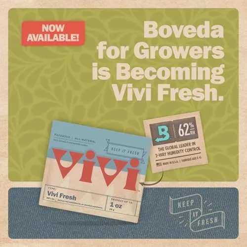 Boveda Humidity Control Pack 62% RH Size 67, 1 lb Capacity | Maintains Perfect Humidity for Herbal Medicine thumbnail 2