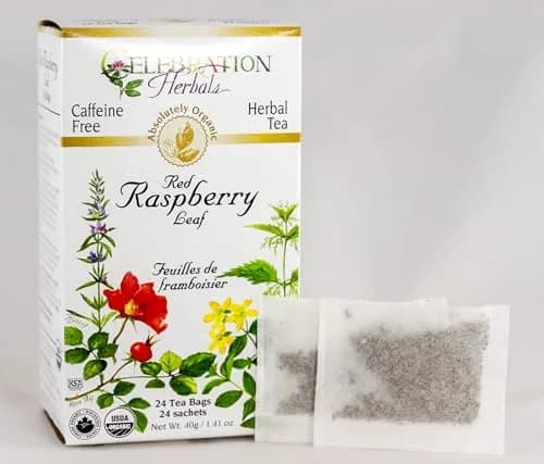Celebration HERBALS Red Raspberry Leaf Tea Organic 24 Bag | Raspberry & Organic Herb for Pregnancy & Wellness thumbnail 2