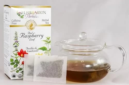 Celebration HERBALS Red Raspberry Leaf Tea Organic 24 Bag | Raspberry & Organic Herb for Pregnancy & Wellness thumbnail 3