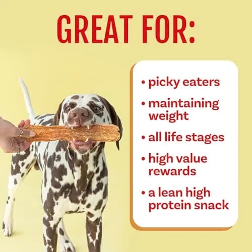Polkadog Chicken Jerky for Dogs | Single Ingredient, USA Dehydrated Treats, 4oz Tube thumbnail 6