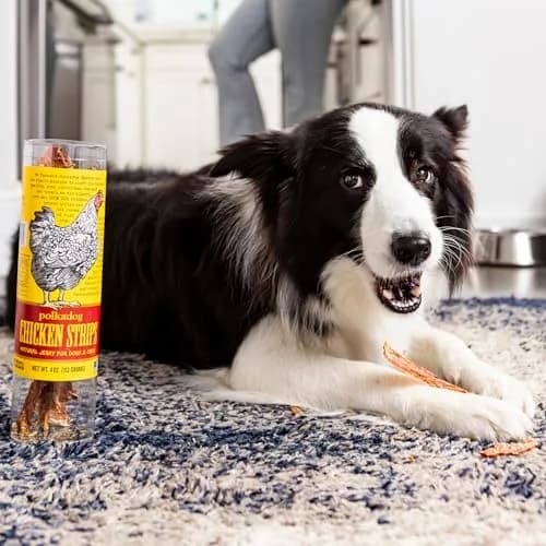 Polkadog Chicken Jerky for Dogs | Single Ingredient, USA Dehydrated Treats, 4oz Tube thumbnail 7