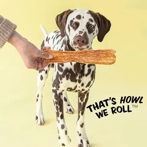Polkadog Chicken Jerky for Dogs | Single Ingredient, USA Dehydrated Treats, 4oz Tube thumbnail 8