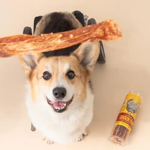 Polkadog Chicken Jerky for Dogs | Single Ingredient, USA Dehydrated Treats, 4oz Tube thumbnail 2