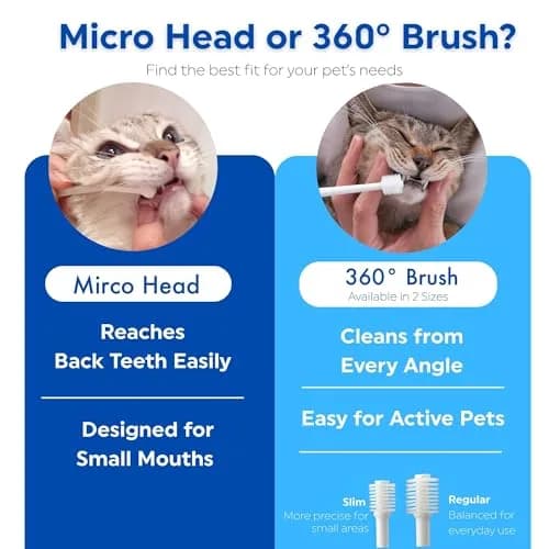 MIND UP Cat Toothbrush with Micro Head, 15° Angled Design for Easier Reach, Pet Toothbrush for Cats & Kittens, Gentle Everyday Brushing, Made in Japan thumbnail 5