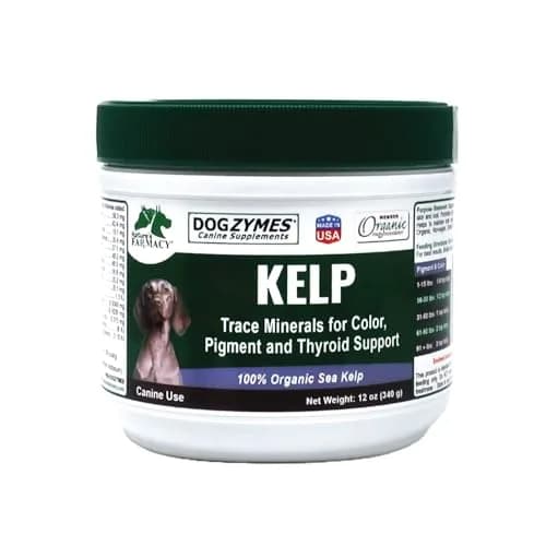 Dogzymes Organic Norwegian Kelp for Pets 12oz | Rich in Iodine to Support Thyroid & Gland Function thumbnail 1