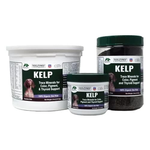 Dogzymes Organic Norwegian Kelp for Pets 12oz | Rich in Iodine to Support Thyroid & Gland Function thumbnail 2