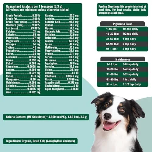 Dogzymes Organic Norwegian Kelp for Pets 12oz | Rich in Iodine to Support Thyroid & Gland Function thumbnail 3