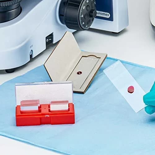Globe Scientific Cardboard Slide Mailer for 1 Slide | Reusable, Lightweight, Space-Saving (70-120 chars) thumbnail 4