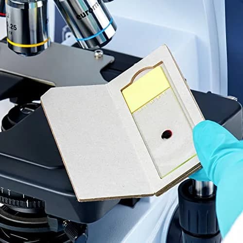 Globe Scientific Cardboard Slide Mailer for 1 Slide | Reusable, Lightweight, Space-Saving (70-120 chars) thumbnail 3