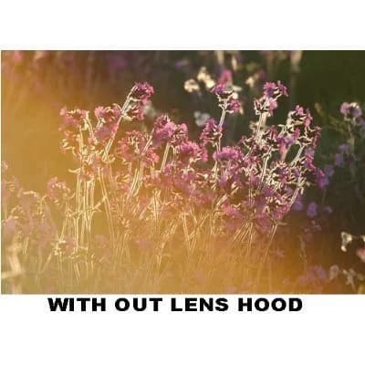 PLR Optics 55mm Lens Hood for Sony DSC-HX300 Digital Camera | Prevents Lens Flare & Protects Lens thumbnail 6