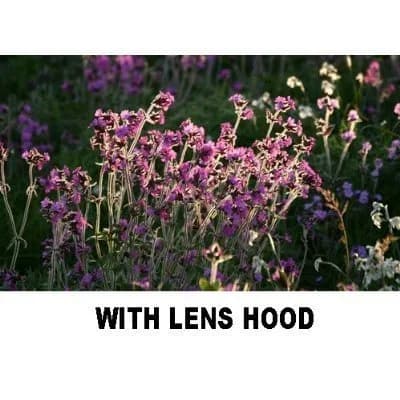 PLR Optics 55mm Lens Hood for Sony DSC-HX300 Digital Camera | Prevents Lens Flare & Protects Lens thumbnail 7