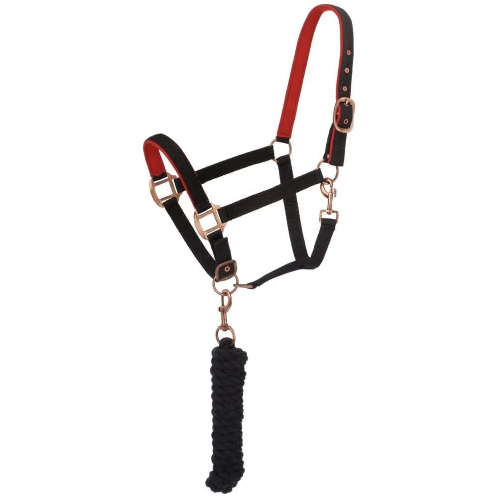 Tough 1 Padded Horse Halter with Antique Hardware and Lead Rope | Nylon, Neoprene Padding, 8ft Cotton Lead — Black