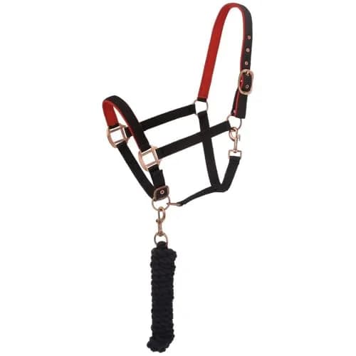 Tough 1 Padded Horse Halter with Antique Hardware and Lead Rope | Nylon, Neoprene Padding, 8ft Cotton Lead thumbnail 1