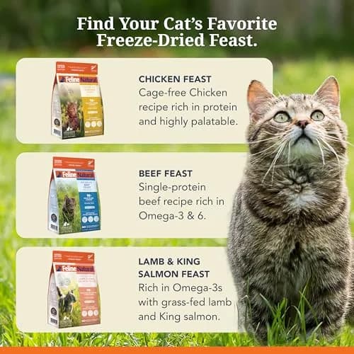Feline Natural High Protein Freeze Dried Cat Food Chicken & Lamb 312g (11 oz) | 98% Meat Diet for Cats thumbnail 8