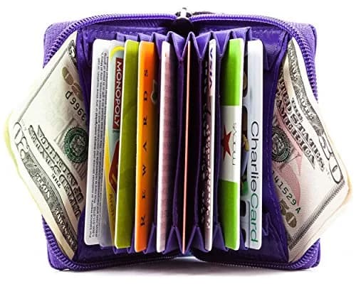 Big Skinny Polka Accordion Card Case Wallet Purple 10.8 cm (4.25 x 2.56 Inch) | Holds Up to 30 Cards thumbnail 2