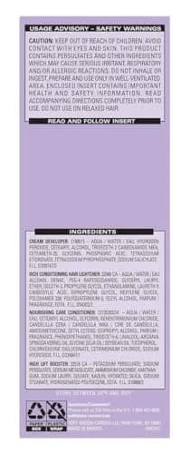 Dark and Lovely Color #384 Light Golden Blonde 1.4 Pound (Pack of 3) | High Reflective Color & Shine thumbnail 2