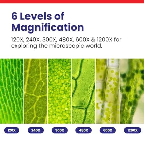 AmScope M30-ABS-KT51 STEM Microscope Kit, Monocular, Black | 120X to 1200X Magnification for Kids thumbnail 3