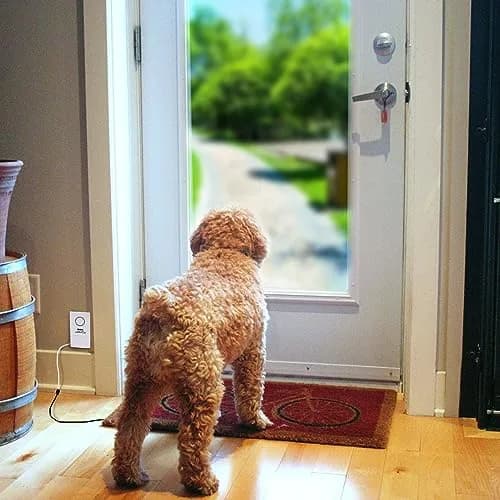 Ideal Security Pressure Floor Mat Home Alarm System – Wired Alarm & Chime, Anti-Wandering, Welcome Mat, Pet Door Mat | 21.75” x 13.75” thumbnail 4