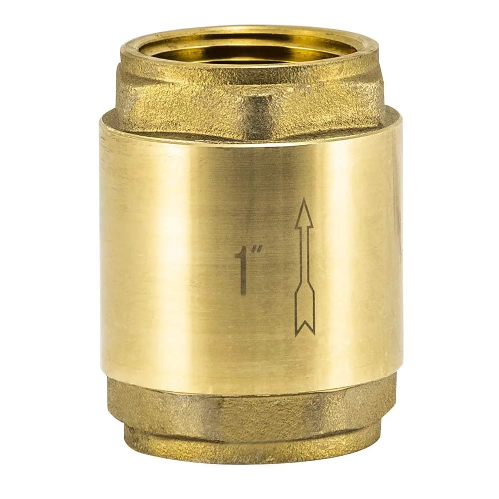 Eastman Brass In-Line Check Valve 1 Inch IPS Threaded Connection | Prevents Backflow in Water Lines - main product image