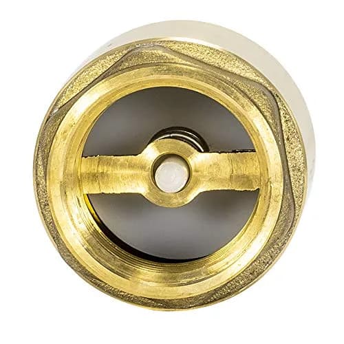 Eastman Brass In-Line Check Valve 1 Inch IPS Threaded Connection | Prevents Backflow in Water Lines thumbnail 3