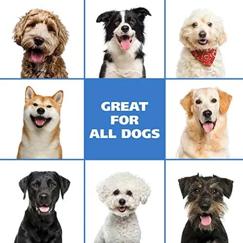 Wahl Waterless No Rinse Shampoo for Animals Coconut Lime Verbena 210ml (7.1 Fl Oz) | Gentle Cleaning for Dogs, Cats & Horses thumbnail 7