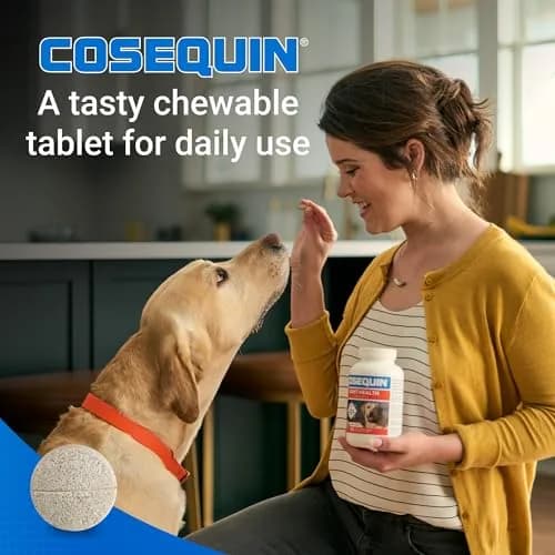 Nutramax Cosequin Joint Supplement for Dogs, MSM+HA, 250 Chew Tablets | Supports Joints, All Breeds & Sizes, All Ages thumbnail 4