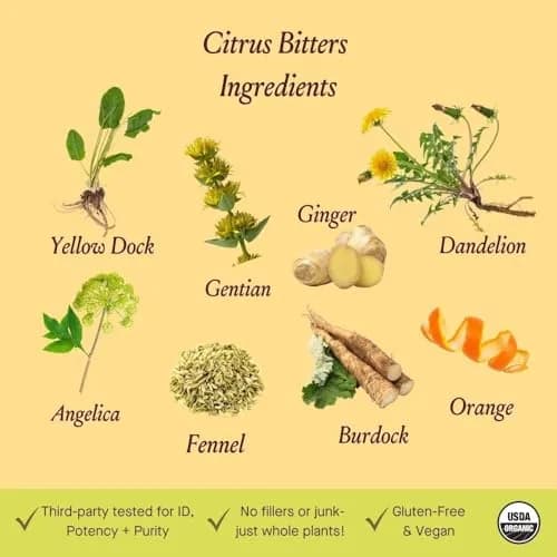 Urban Moonshine Citrus Digestive Bitters 8 Fl Oz | Organic Herbal Support for Gut Health thumbnail 3