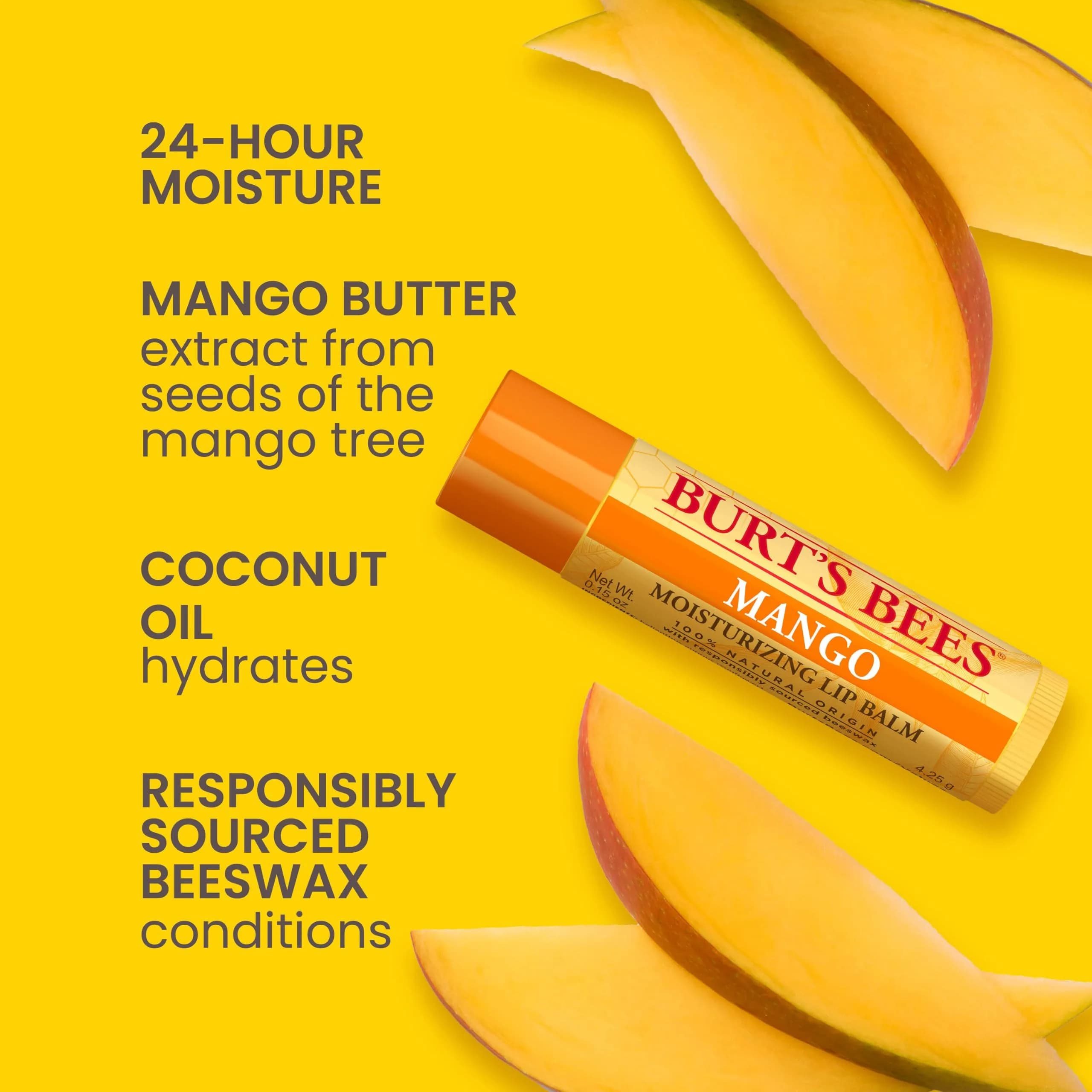 Burt's Bees Natural Moisturizing Lip Balm 4 Count (0.6 oz / 17g) | Hydrates & Softens Dry Lips - view 3