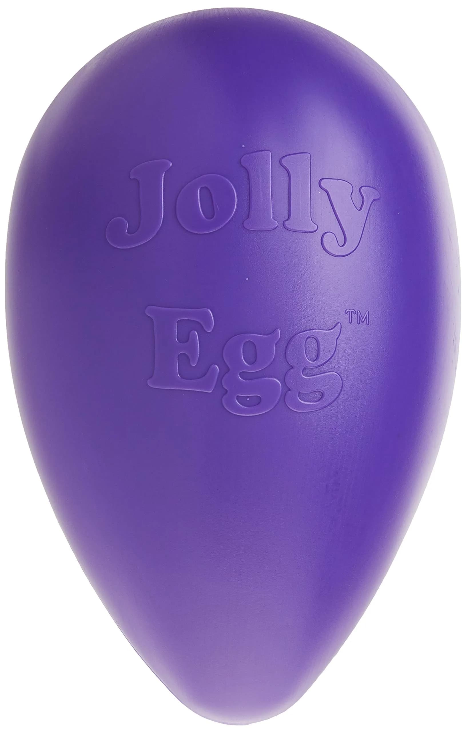 Jolly Pets Jolly Egg Dog Toy, Large 12 Inch Purple | Erratic Motion Fetch Toy for Dogs Over 40 lbs — Purple