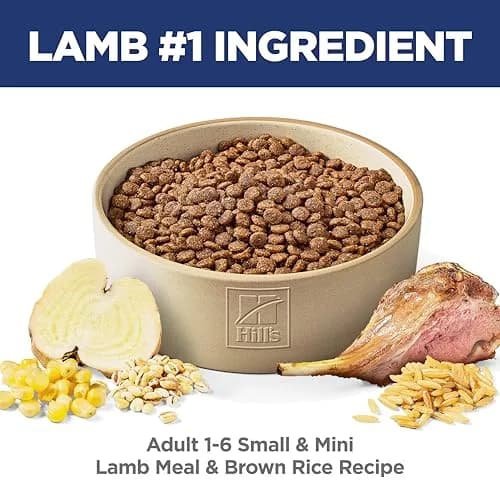 Hill's Science Diet Adult 1-6 Small & Mini Dry Dog Food, Lamb Meal & Brown Rice, 7.03 kg (15.5 lb) | Supports Digestion & Immune Health thumbnail 2