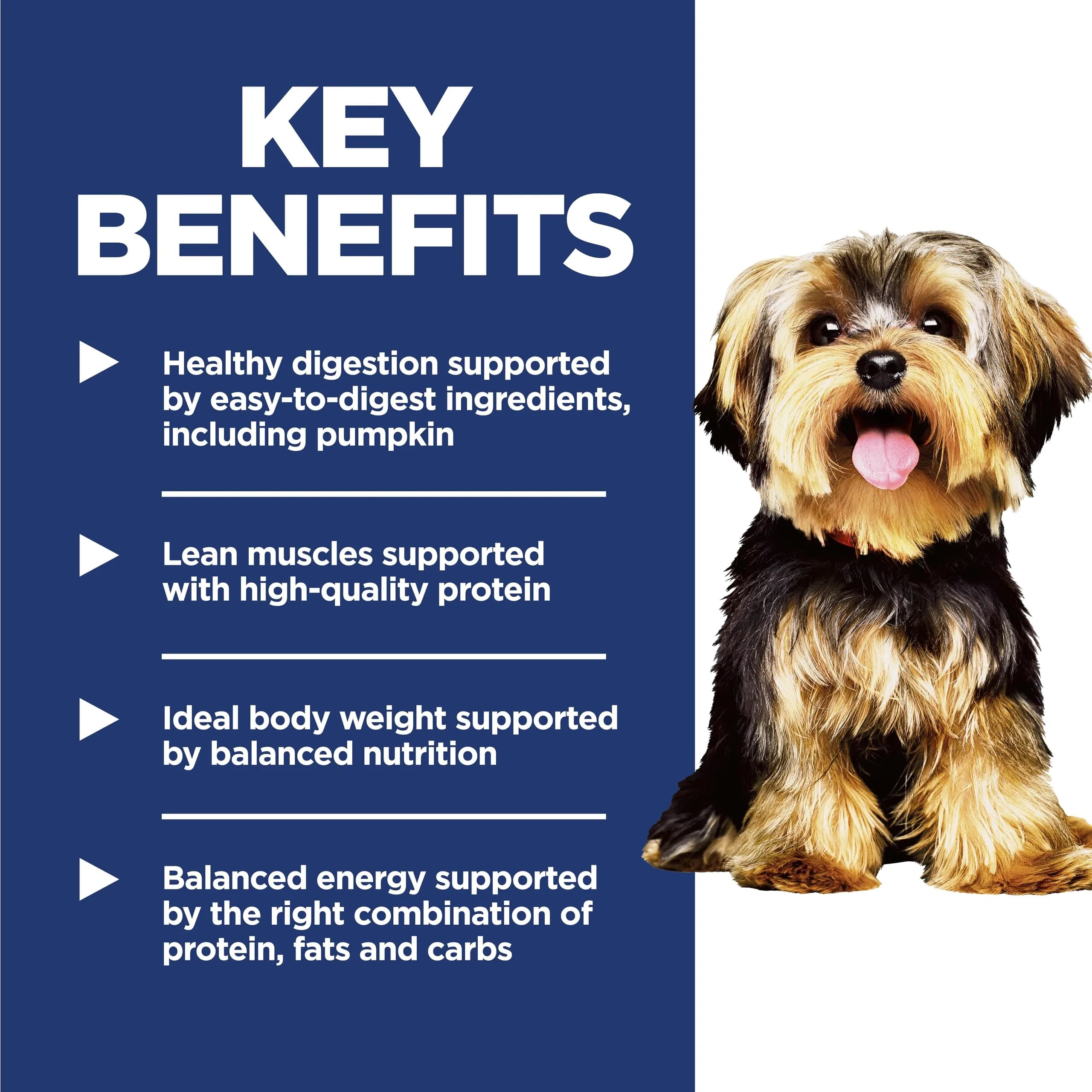 Hill's Science Diet Adult 1-6 Small & Mini Dry Dog Food, Lamb Meal & Brown Rice, 7.03 kg (15.5 lb) | Supports Digestion & Immune Health - view 3