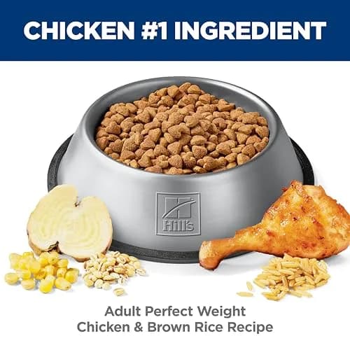 Hill's Science Diet Adult Perfect Weight Chicken & Brown Rice Recipe Dry Dog Food 1.81 kg (4 lb) | Clinically Proven Weight Loss thumbnail 4