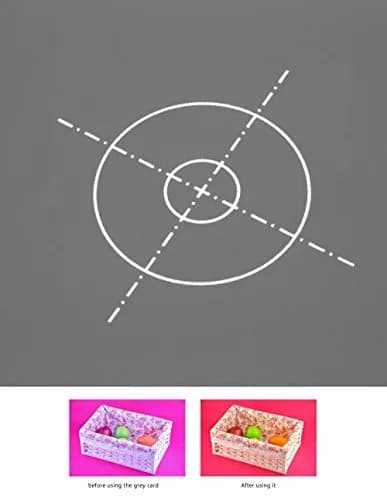Lightdow 12 x 12 Inch (30 x 30 cm) White Balance 18% Gray Reference Reflector with Carry Bag | Photography Color Accuracy Target thumbnail 5
