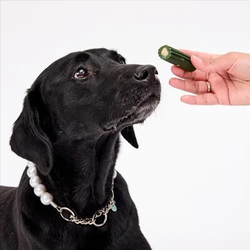ARK NATURALS Brushless Toothpaste Dog Dental Treats - Large Breeds (10 ct) | 4-in-1 Plaque & Tartar Control, Breath Freshener thumbnail 7