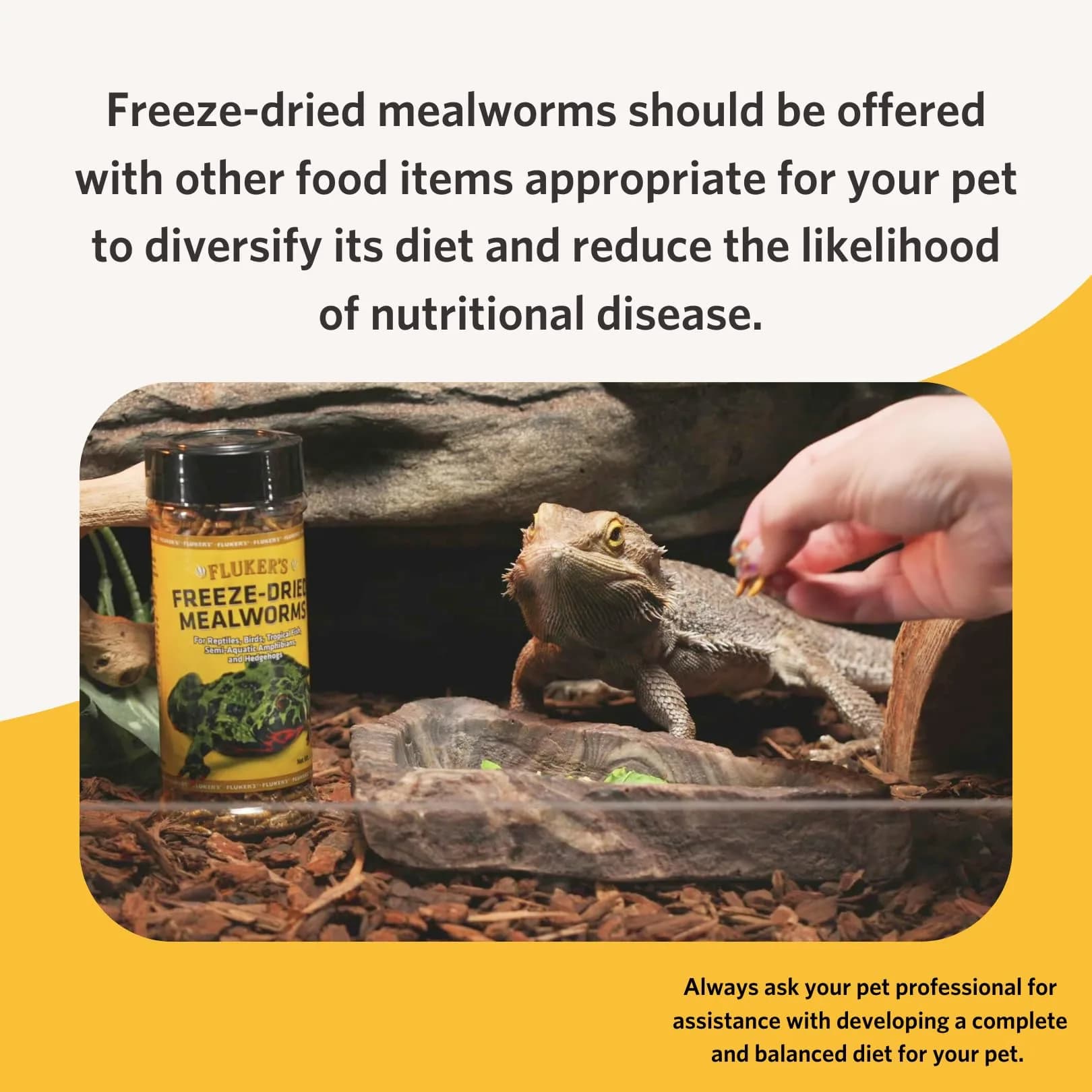 Fluker's Freeze Dried Mealworms 48g (1.7 oz) | Nutrient-Rich Pet Food for Reptiles, Birds, Fish, Hedgehogs - view 6