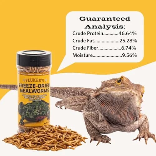 Fluker's Freeze Dried Mealworms 48g (1.7 oz) | Nutrient-Rich Pet Food for Reptiles, Birds, Fish, Hedgehogs thumbnail 2