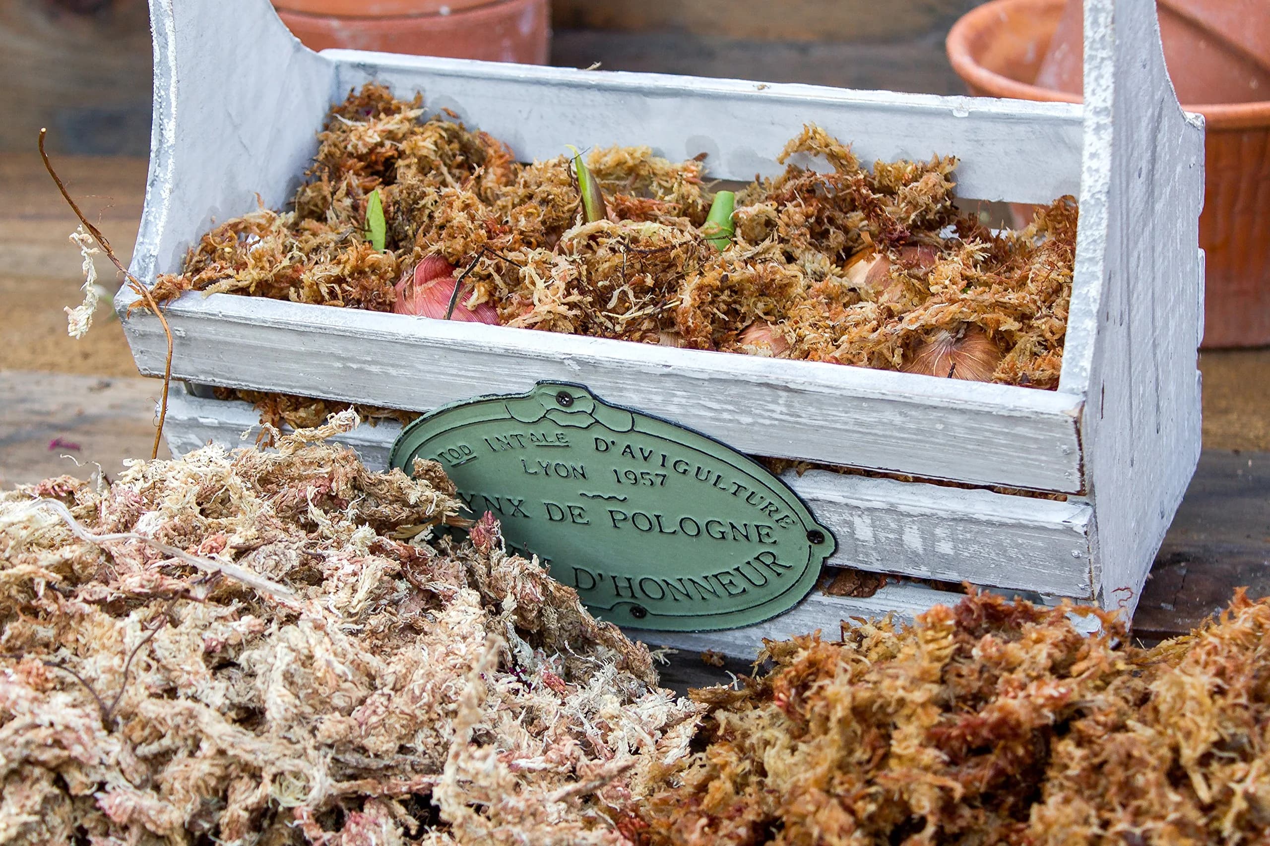 SuperMoss Orchid Sphagnum Moss 1.11 kg (2 lb) Bag | Premium Long Fiber for Orchids & Succulents - view 6