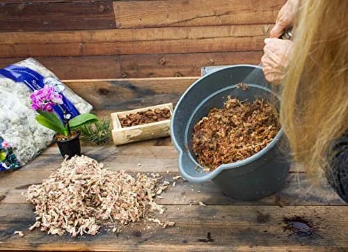 SuperMoss Orchid Sphagnum Moss 1.11 kg (2 lb) Bag | Premium Long Fiber for Orchids & Succulents thumbnail 3
