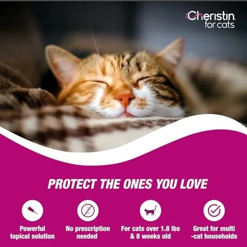 Cheristin Flea Treatment & Prevention for Cats 6 Doses | Fast-Acting Flea Relief, Approved for Kittens & Cats Over 1.8 lbs thumbnail 4