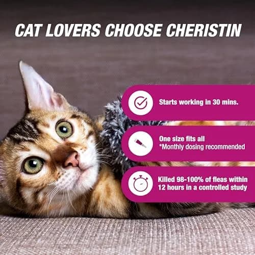 Cheristin Flea Treatment & Prevention for Cats 6 Doses | Fast-Acting Flea Relief, Approved for Kittens & Cats Over 1.8 lbs thumbnail 3