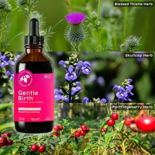 Mountain Meadow Herbs Gentle Birth Prep, Without Blue Cohosh, 4oz | Supports Labor & Recovery thumbnail 5