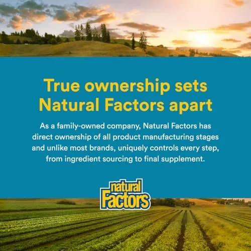 Natural Factors Ultimate Probiotic Senior's 35 Billion CFU | Supports Digestive & Immune Health in Aging Adults thumbnail 6
