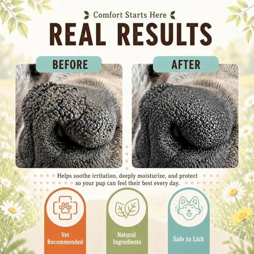 Natural Dog Company Snout Soother 2 oz Tin | Nourishing Nose Balm for Dry, Cracked Snouts thumbnail 2