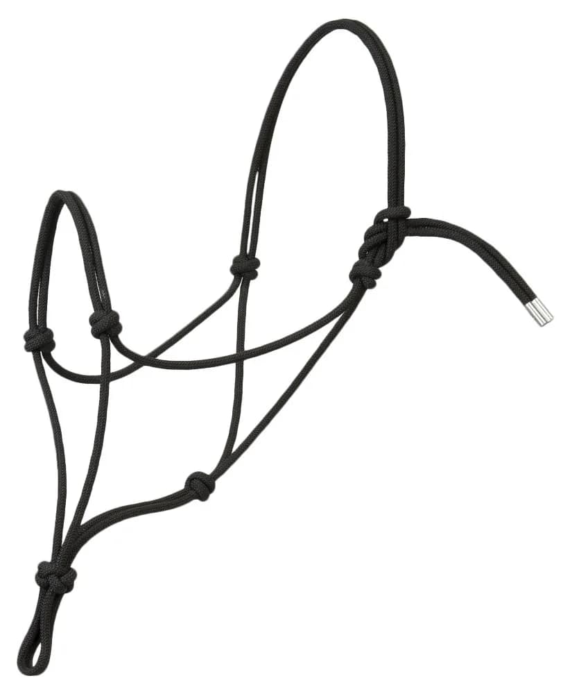 Weaver Equine Silvertip Rope Halter Average | No Hardware, Shape Holding (110 characters) — Black