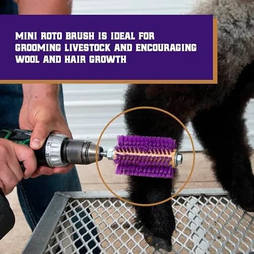 Weaver Livestock Roto Brush Purple, 5-3/8" Long | Livestock Hair & Wool Grooming Tool thumbnail 2
